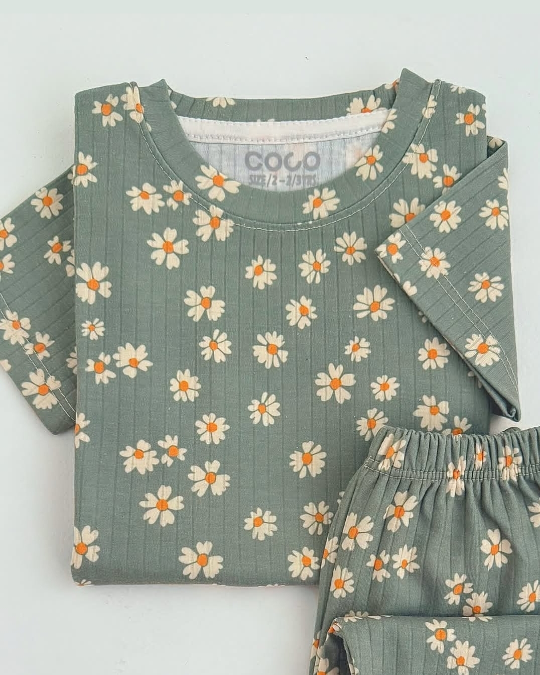 طرح بابونه با زمینه سبز